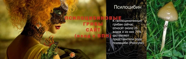 гашик Ростов