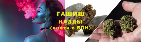 spice Новодвинск