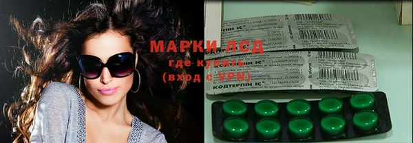 spice Новодвинск