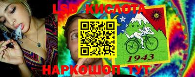 спиды Волгодонск