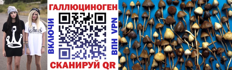 Псилоцибиновые грибы Psilocybe  Зеленокумск 