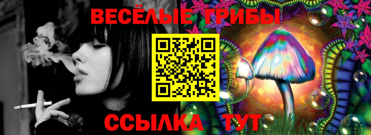 Псилоцибиновые грибы Cubensis Зеленокумск
