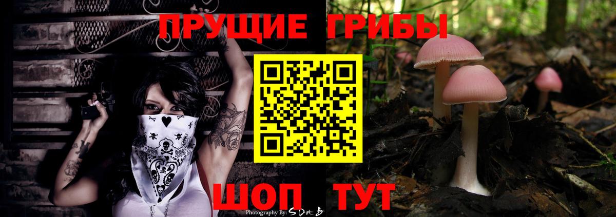 продажа наркотиков  Вход с VPN  Зеленокумск  Галлюциногенные грибы Magic Shrooms 