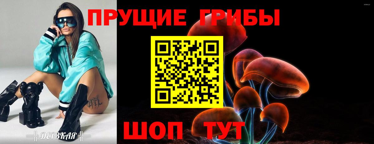 Псилоцибиновые грибы MAGIC MUSHROOMS  Зеленокумск  Псилоцибиновые грибы Psilocybine cubensis 