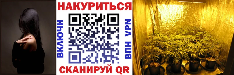 сколько стоит  Зеленокумск  Канабис SATIVA & INDICA 